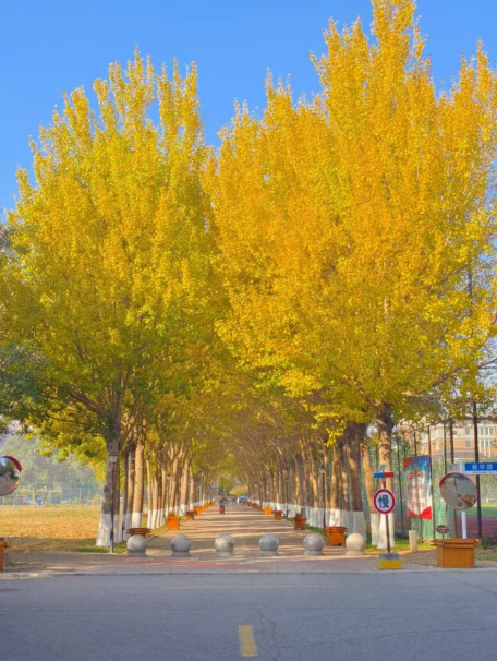 2ff9d1618de560506d592ca9efd91c0.png 2ff9d1618de560506d592ca9efd91c0.png