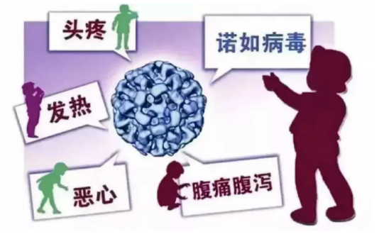 62b9e845205eeb449266b872fa2c696e.png 62b9e845205eeb449266b872fa2c696e.png