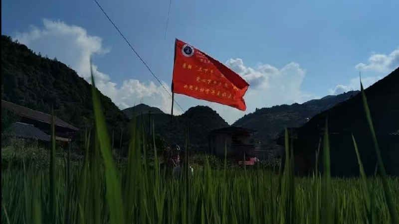 640 (16).png