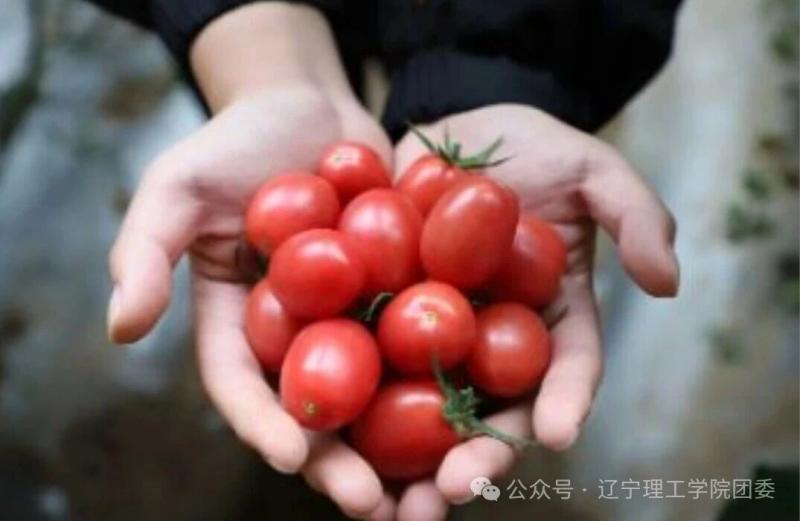 微信图片_2025-10-23_143916_170.jpg