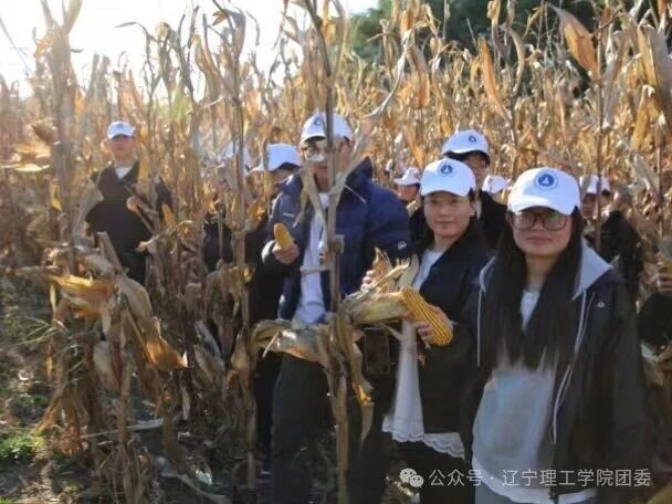 微信图片_2025-11-05_183238_260.jpg
