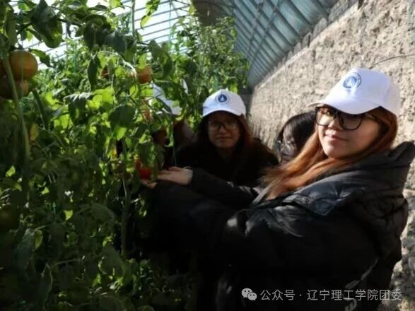 微信图片_2025-11-05_183220_422.jpg