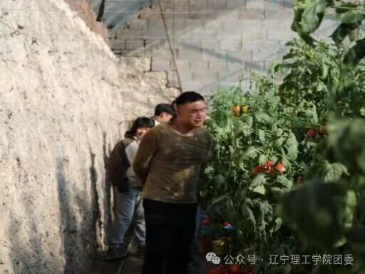微信图片_2025-11-05_183226_489.jpg