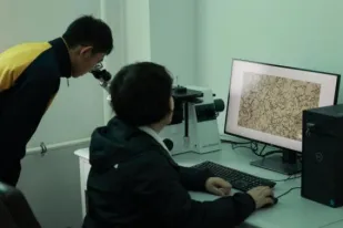 图片11.png 图片11.png