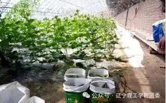 微信图片_2026-09-28_191727_686.jpg 微信图片_2026-09-28_191727_686.jpg